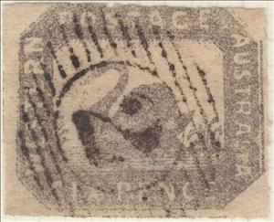 Stamp, Black Swan (Cygnus atratus), Western Australia,  , Animals (Fauna), Birds, Swans
