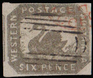 Stamp, Black Swan (Cygnus atratus), Western Australia,  , Animals (Fauna), Birds, Swans