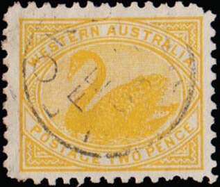 Stamp, Black Swan (Cygnus atratus), Western Australia,  , Animals (Fauna), Birds, Swans