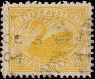 Stamp, Black Swan (Cygnus atratus), Western Australia,  , Animals (Fauna), Birds, Swans
