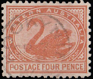 Stamp, Black Swan (Cygnus atratus), Western Australia,  , Animals (Fauna), Birds, Swans