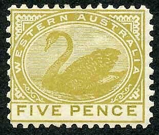 Stamp, Black Swan (Cygnus atratus), Western Australia,  , Animals (Fauna), Birds, Swans