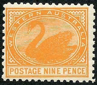 Stamp, Black Swan (Cygnus atratus), Western Australia,  , Animals (Fauna), Birds, Swans