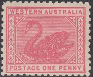 Stamp, Black Swan (Cygnus atratus), Western Australia,  , Animals (Fauna), Birds, Swans