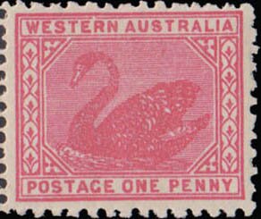 Stamp, Black Swan (Cygnus atratus), Western Australia,  , Animals (Fauna), Birds, Swans
