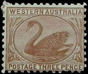 Stamp, Black Swan (Cygnus atratus), Western Australia,  , Animals (Fauna), Birds, Swans