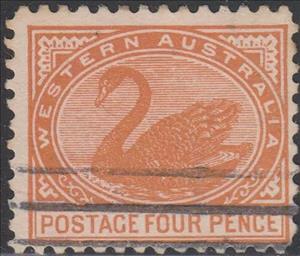 Stamp, Black Swan (Cygnus atratus), Western Australia,  , Animals (Fauna), Birds, Swans