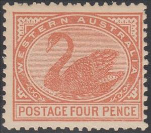 Stamp, Black Swan (Cygnus atratus), Western Australia,  , Animals (Fauna), Birds, Swans