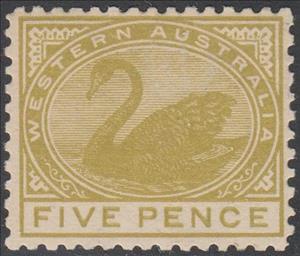 Stamp, Black Swan (Cygnus atratus), Western Australia,  , Animals (Fauna), Birds, Swans