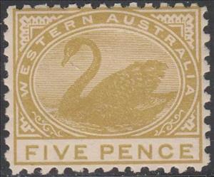 Stamp, Black Swan (Cygnus atratus), Western Australia,  , Animals (Fauna), Birds, Swans