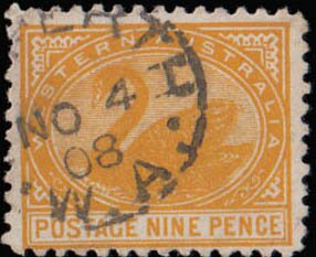 Stamp, Black Swan (Cygnus atratus), Western Australia,  , Animals (Fauna), Birds, Swans