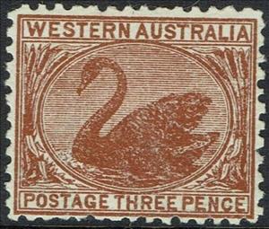 Stamp, Black Swan (Cygnus atratus), Western Australia,  , Animals (Fauna), Birds, Swans