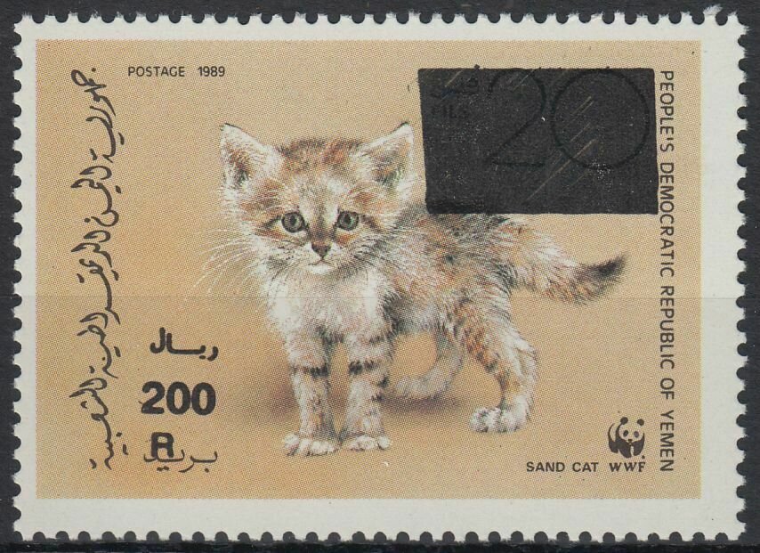 Sand Cat (Felis margarita)
