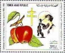 Apples and R.Kock