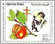 Stamp, Apricots and R.Kock, Yemen, Arab Republic,  , Anniversaries and Jubilees, Famous People, Fruits, Tuberculosis / TBC
