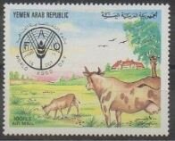 Cows