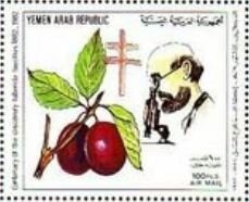 Plums and R.Kock