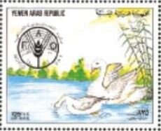 Swans
