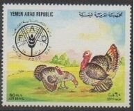 Turkeys