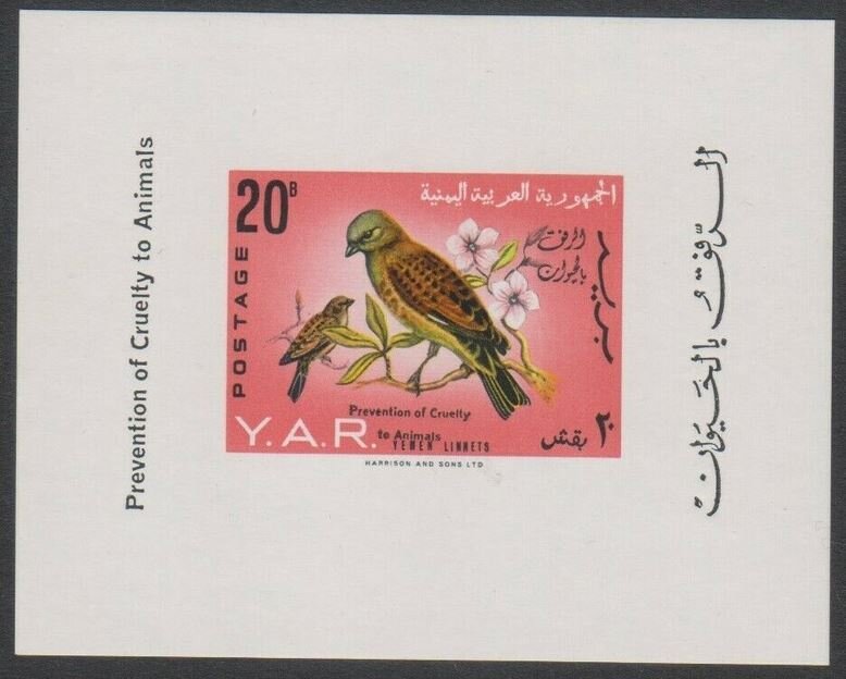 Yemen Linnet (Acanthis yemenensis) - overprinted