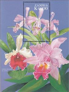 Souvenir Sheet, Cattleya maxima, Zambia,  , Flowers, Orchids, Plants (Flora)