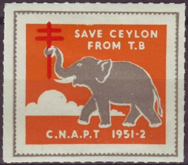 CNAPT 1951-52: Elephant