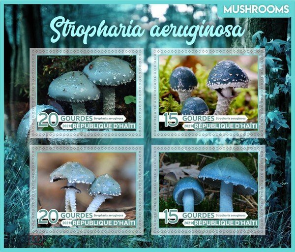 Mushrooms