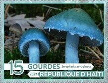 Stamp, Mushrooms, Cinderellas,  , Mushrooms