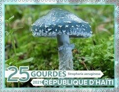 Mushrooms