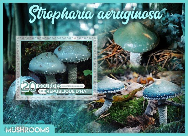 Mushrooms