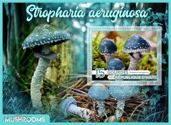 Mushrooms