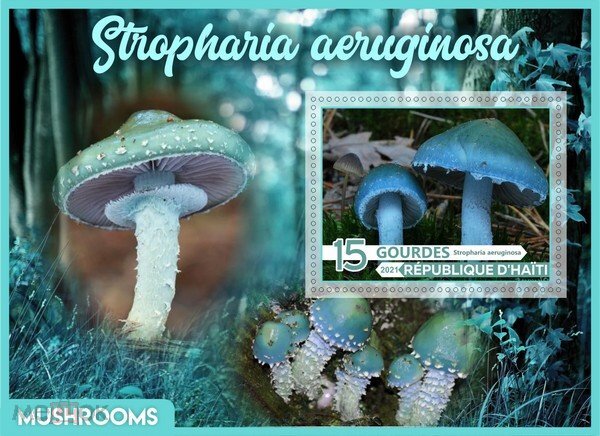Mushrooms