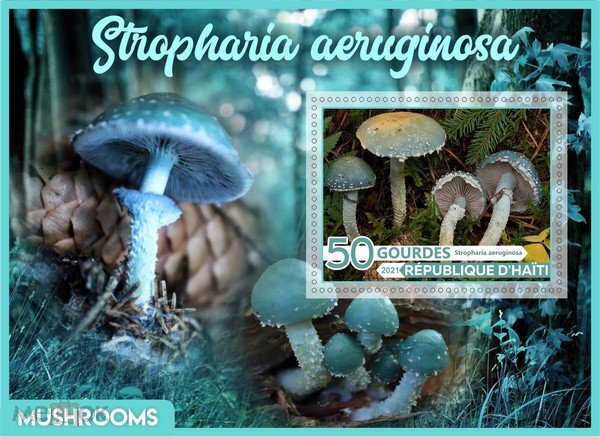 Mushrooms