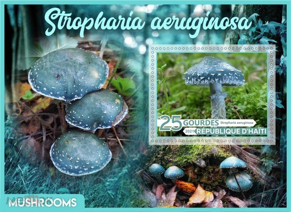 Mushrooms
