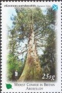 Perthshire, Big Tree Country