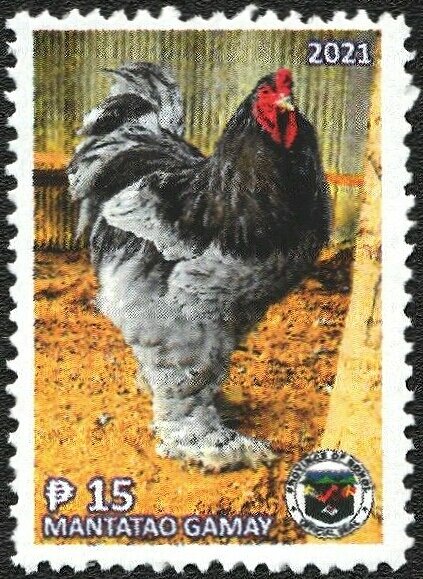 Rooster