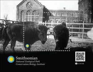 Souvenir Sheet, American Bison (Bison bison), Cook Islands,  , Animals (Fauna), Bison, Mammals
