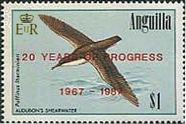 Audubon's Shearwater (Puffinus Iherminieri)