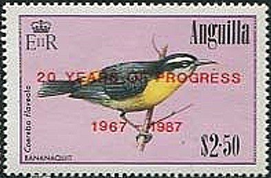 Bananaquit (Coereba flaveola)