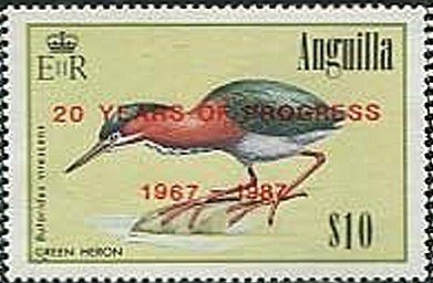 Green Heron (Butorides virescens)