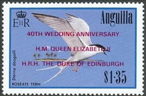 Stamp, Roseate Tern (Sterna dougallii), Anguilla,  , Birds, Animals (Fauna)