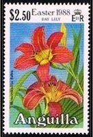 Hemerocallis fulva