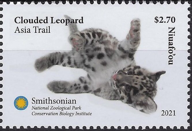 Clouded Leopard (Neofelis nebulosa)