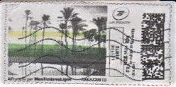 Stamp, Palm Trees on a Grey Day, Personalized and Private Mail Stamps,  , Coastal Areas, Landscapes, Palm-trees, Trees