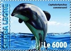Stamp, Cephalorhynchus commersonii, Sierra Leone,  , Animals (Fauna), Dolphins