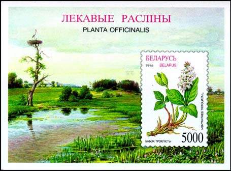 Souvenir sheet Medicinal herbs - Menyanthes trifoliata 