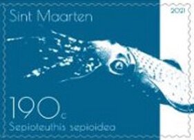 Stamp, Caribbean Reef Squid (Sepioteuthis sepioidea), Sint Maarten,  , Sea Life