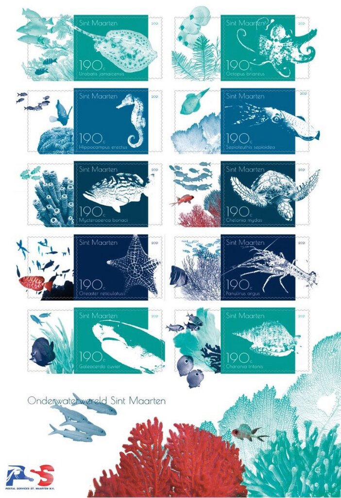 Sea Life of Sint Maarten