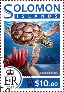 Stamp, Chelonia mydas, Solomon Islands,  , Reptiles, Turtles