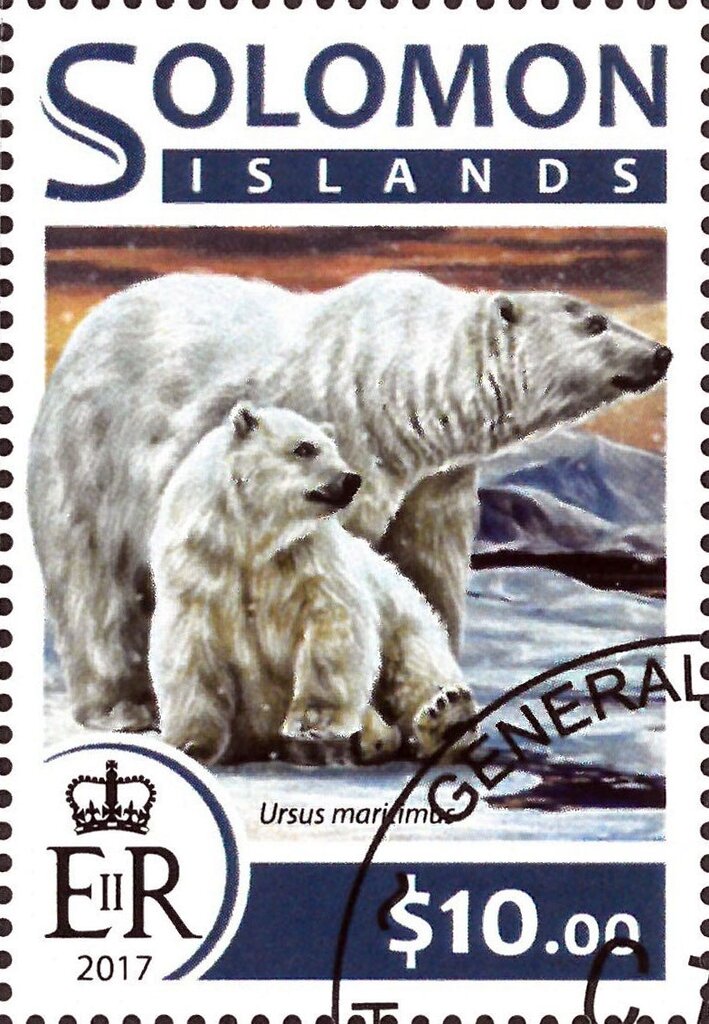Polar Bear (Ursus maritimus)